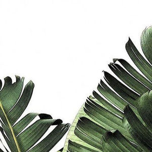 Meet your Posher, Deva